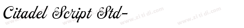 Citadel Script Std字体转换